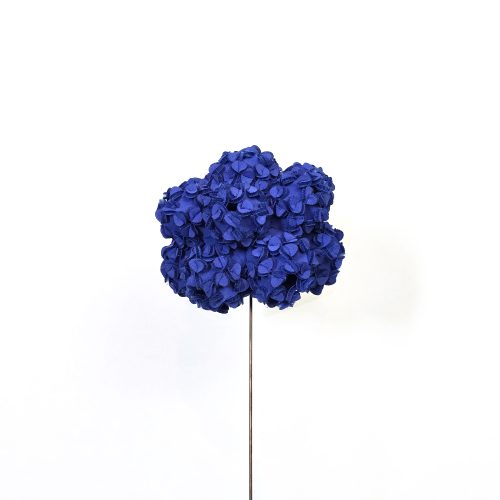 The pinned Flower | Various sizes